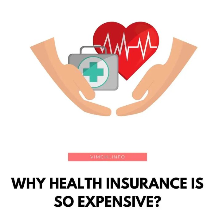 The Low-Down on Health Insurance - ppt download The Low-Down on Health Insurance - ppt download